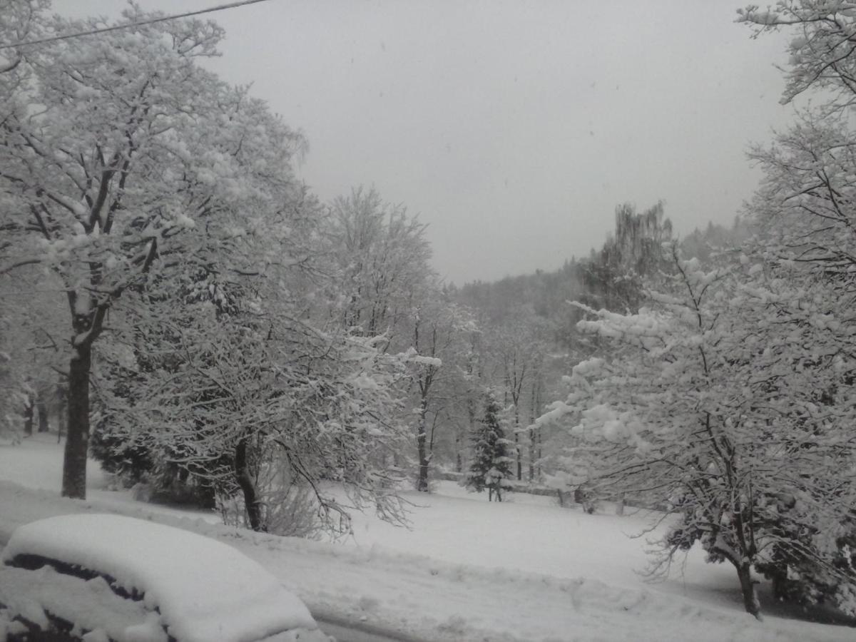 Pensjonat Kosciuszko Krynica Zdroj Buitenkant foto